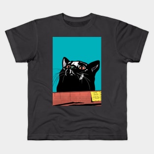 Fat Cat in a Box Kids T-Shirt